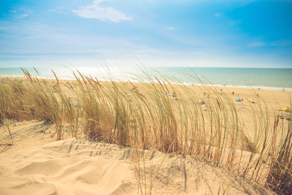 sea-beach-sand-sun-large